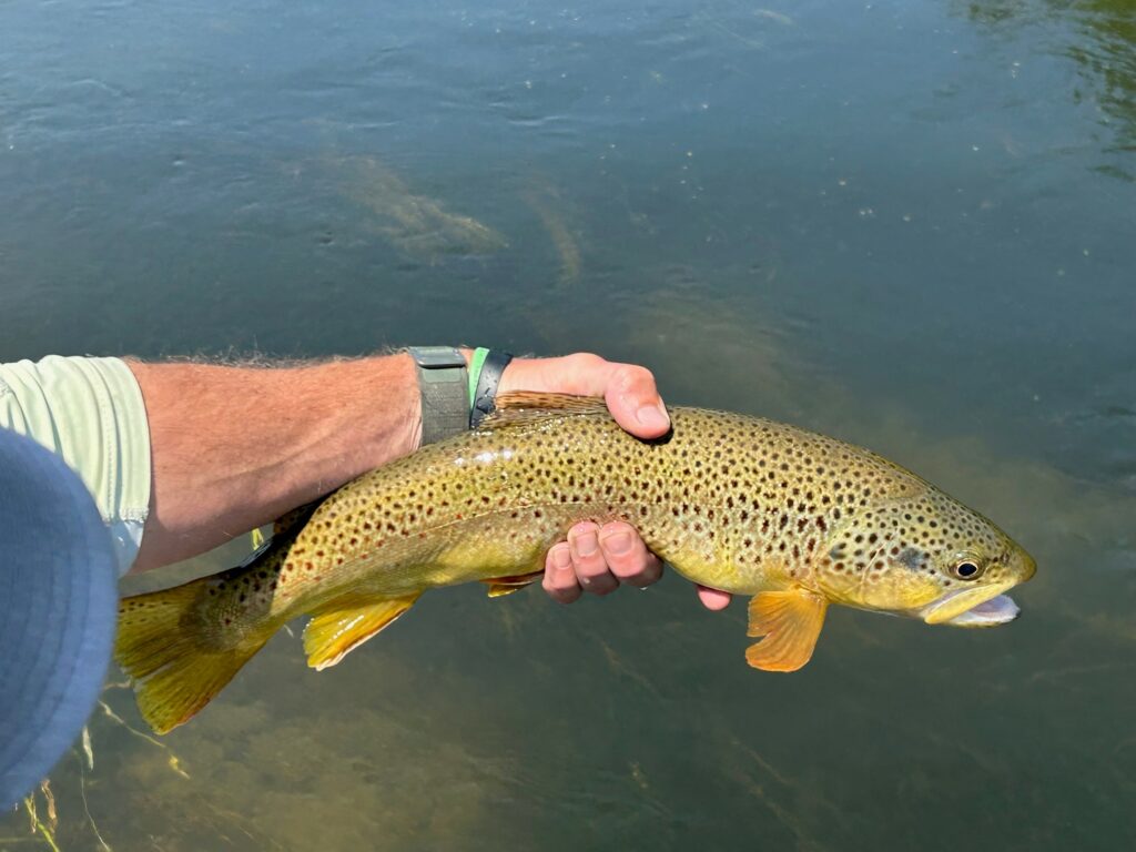 Beaverhead River Montana