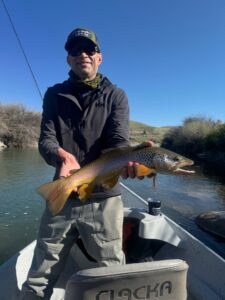 dillon montana fly fishing